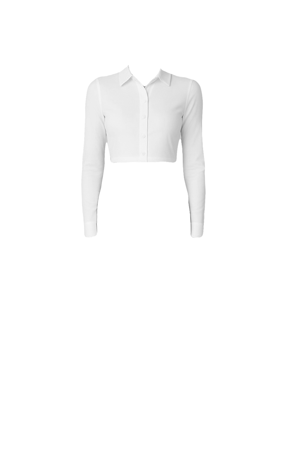 Crop Full Sleeve Shirt.png Top